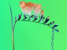 Flume - Skin Companion Ep I [New Vinyl LP] Black, Digital Download