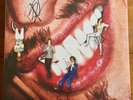 The Darkness - Pinewood Smile 12” Vinyl Black  Lp Signed Autographed