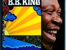 B.B. KING COMPLETELY WELL RARE ORIG '69 BLUESWAY LP ORIG LEE HULKO MASTER MINT