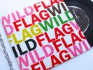 SLEATER KINNEY CARRIE BROWNSTEIN WILD FLAG 7