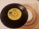 The Flying Burrito Bros ?– The Train Song 7