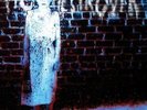 PIG DESTROYER-BOOK BURNER  VINYL LP NEW