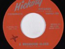 Teen Popcorn/Rockabilly 45 SAMMY SALVO A Mushroom Cloud HICKORY VG+ HEAR