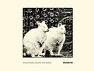Mikolaj Trzaska/Olie Brice/Mark Sanders -Riverloam Trio- 2LP brotzmann