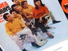 ORIGINAL 1966 MONO THE SUNRAYS ANDREA VINYL LP MURRY WILSON BEACH BOYS SURF