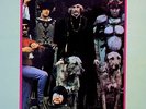 BONZO DOG BAND THE DOUGHNUT IN GRANNY'S GREEN HOUSE VINYL LP NM RARE PSYCH