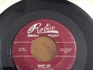 R&B 45  THE RAINBOWS MARY LEE ON RED ROBIN
