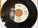 *PROMO* THE REAL DON STEELE [TINA DEGADO IS ALIVE/HOLE IN MY SOUL] CAMEO C 399