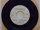 BEECH NUT LIFE SAVERS Garage Rock The Sting Rays Sour Song PROMO 45
