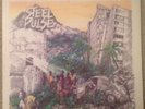 STEEL PULSE Handsworth Revolution 1978 1st Pressing vinyl LP NR MINT VINYL