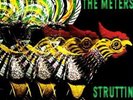 `Meters, The`-Struttin  VINYL LP NEUF