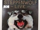 Steppenwolf LIVE, Double LP, Dunhill WHITE LABEL PROMO (1970)