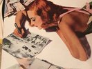 Hatfield And The North Rotters Club Vinyl