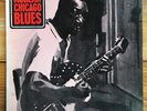 Modern Chicago Blues – Testament Records Vinyl LP – Walter Horton-Johnny Young