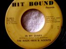 The MASKED -MEN & AGENTS  In My Diary  Hit Bound Ri 2921