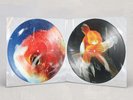 Vince Staples - Big Fish Theory Limited Picture Disc 2XLP