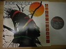 MISTY IN ROOTS  LP  FORWARD