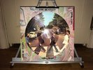 The BEATLES   Abbey Road - Picture Disc LP - CAPITOL 11900