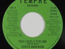 Modern Soul 45 - Curtis Anderson - This Lovely Feeling - Tempre - VG++ mp3
