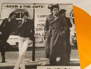 ADAM AND THE ANTS MEET THE ANTS DEMOS VINYL ALBUM LP sex pistols siouxsie PUNK