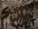 Slippery When Wet, Bon Jovi, Vinyl, 0602547029218