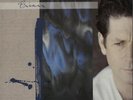 Brian Wilson Brian Wilson vinyl LP album record German 925669-1 SIRE 1988