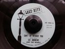 Lee Andrews -Cant Do Without You - Lost Nite - Rare RnB Mod Ska Northern Soul