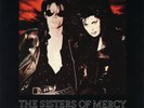 THE SISTERS OF MERCY “This Corrosion” (45 RPM) 7” Vinyl Record w/ Picture Sleeve
