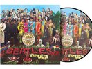 Beatles - Sgt Pepper's Lonely Hearts Club Band 60256709835 (Vinyl Used Like New)