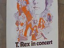T.Rex  - 