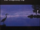 The Tragically Hip - In Violet Light (180g Vinyl LP) NEW