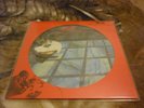 THE SKIDS - SCARED TO DANCE PICTURE DISC VINYL LP RARE 2016