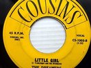 the DREAMERS white doowop VG+ COUSINS 45 LITTLE GIRL b/w BECAUSE OF YOU  ws480