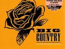 Big Country - Where The Rose Is Sown (7