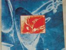 Dire Straits ?On Every Street Lp prensa venezuela