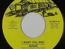 Sweet Soul 45 - Sugar - I Want You, Girl - True Soul - VG++ mp3