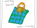 Courtney Barnett Sometimes I Sit & Think...LP vinyl record sealed