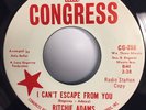 RITCHIE ADAMS • PROMO 45RPM • I CAN'T ESCAPE FROM YOU • NORTHERN SOUL