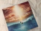 Souled Out - Jhene Aiko - VINYL RECORD