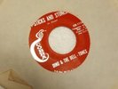 DINO & The DELL TONES Vynil