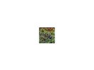 John Zacherle - Zacherle's Monster Gallery (Orange & (Vinyl)