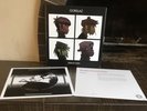 Gorillaz DEMON DAYS Record 2x LP NEW vmp vinyl me please RED Album No Defect