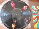 1973 vinyl LP picture disc SATURNALIA MAGICAL LOVE Matrix TRIX 1SP excellent