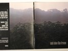 LP 12'': AND ALSO THE TREES, And also the Trees - 33 RPM, Vinyl NM / Cover NM