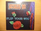 Hüsker Dü ?– Flip your wig Husker Du rare SST LP