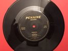 SEPTIMUS rare UK 1977 PUNK / KBD / SEX PISTOLS / PRIVATE / AMAZING PUNK