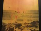 New SIGUR ROS VARUD Vinyl Record  10