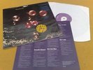 DEEP PURPLE 