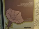Wagner: Ride of the Valkyries Record; Sheffield Lab 1978, Analog Press./Ltd. Ed.