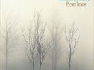 Bare Trees, Fleetwood Mac, Vinyl, 0081227965488